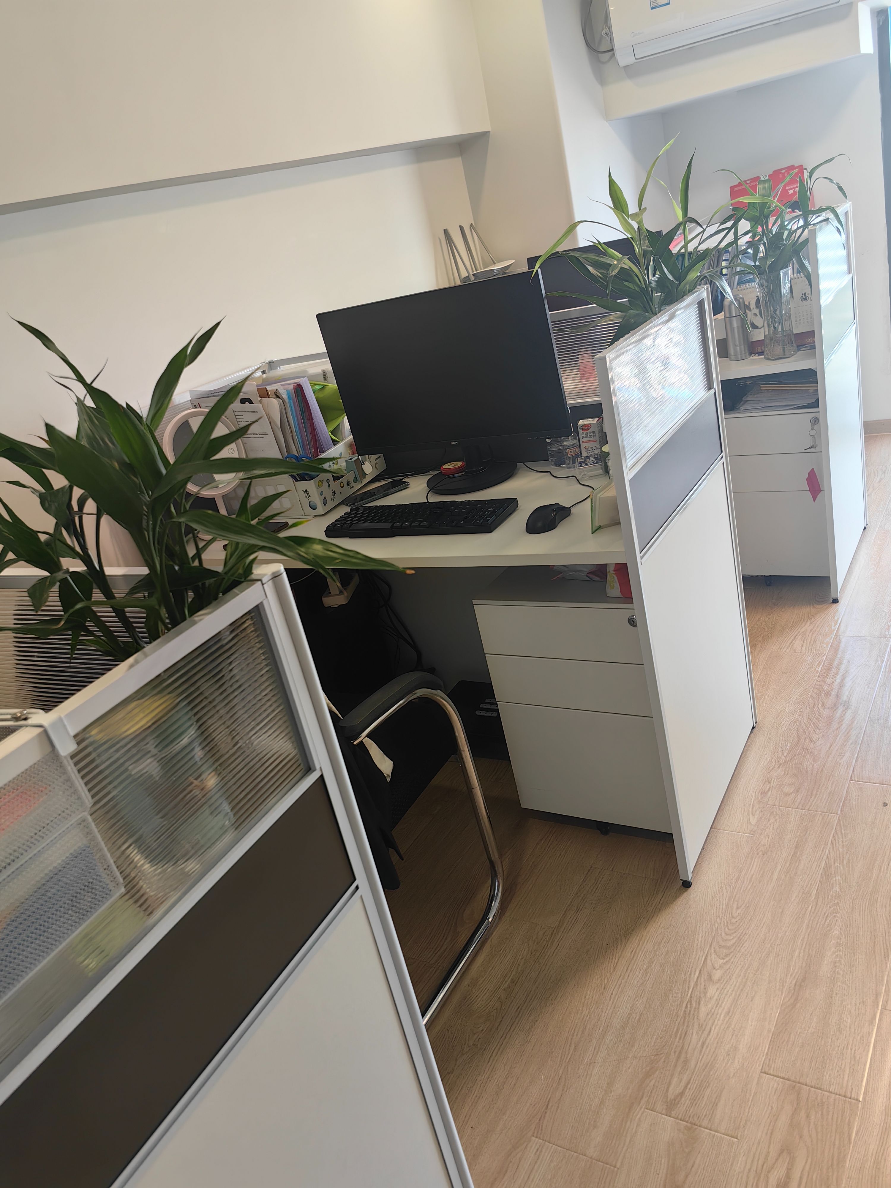 详解公司注册离岸步骤，一步到位